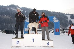 Lenk 2012 SM
